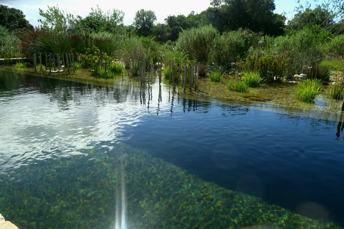 Natural swimming pool in Plettenberg Bay, South Africa — EcoPool by Six Kingdoms and EcoPools Africa