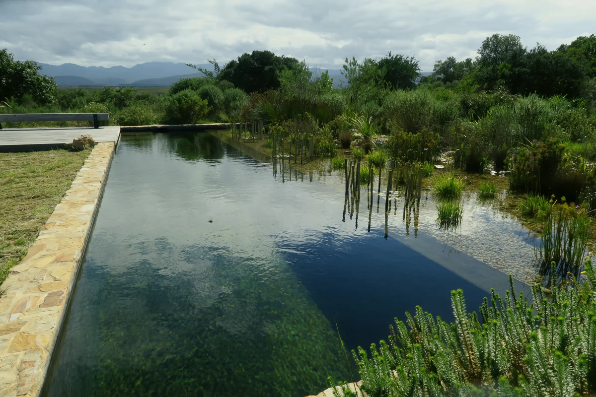 Natural swimming pool and ecological garden in Plettenberg Bay — Six Kingdoms EcoPool design