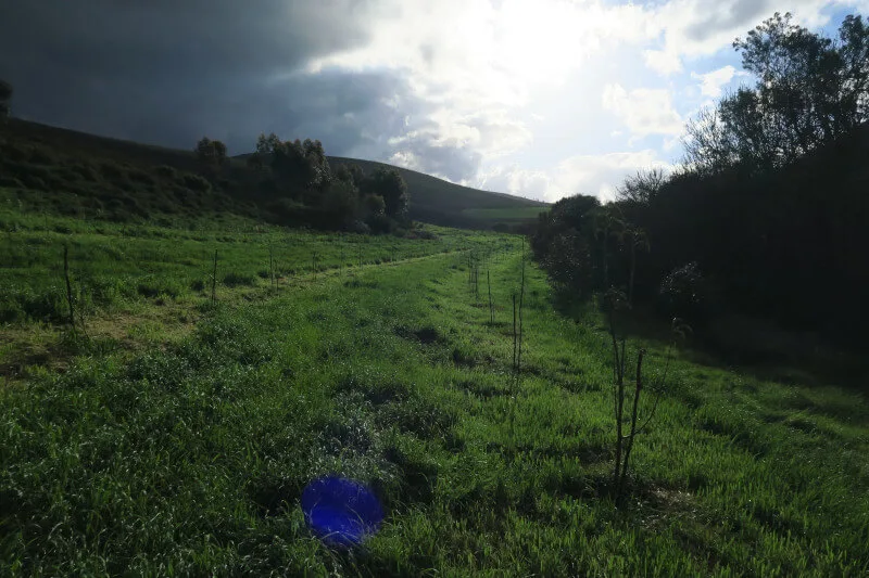 Diepklowe Regenerative Orchard, Garden Route