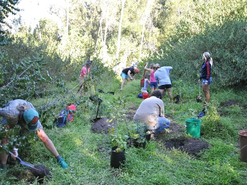Wilderness biodiversity corridor habitat restoration, Garden Route