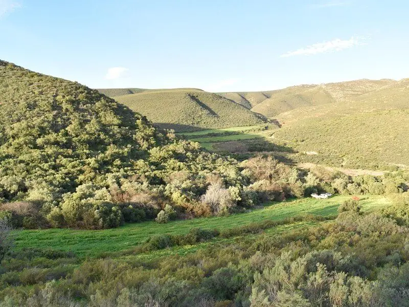 Diepklowe regenerative farm restoration — Six Kingdoms regenerative agriculture and land management